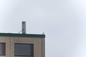 DSCF8983.JPG