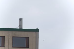 DSCF8984.JPG