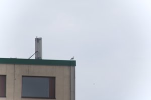 DSCF8985.JPG