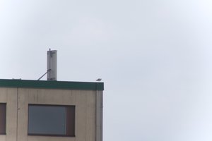 DSCF8993.JPG