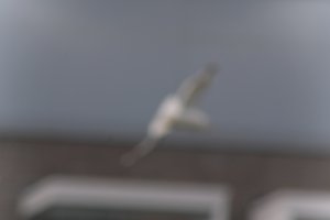 DSCF9004.JPG
