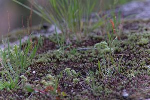 DSCF9021.JPG