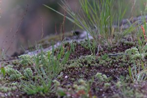 DSCF9031.JPG