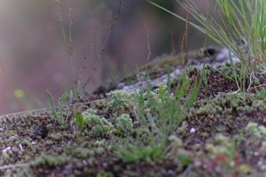 DSCF9035.JPG