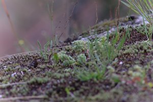 DSCF9038.JPG