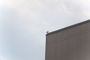 DSCF9043.JPG