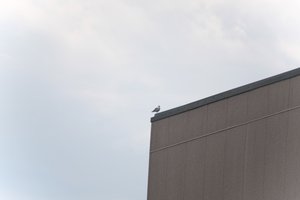 DSCF9044.JPG