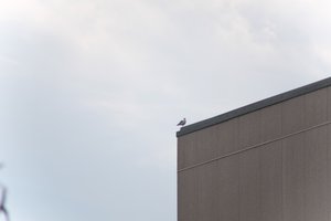 DSCF9045.JPG