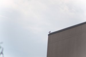 DSCF9053.JPG