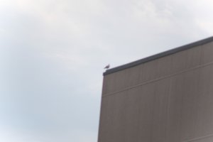DSCF9054.JPG