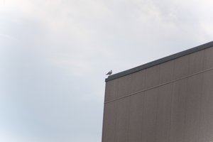 DSCF9055.JPG