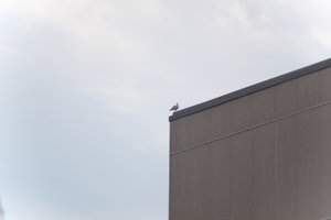 DSCF9056.JPG