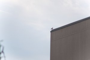 DSCF9058.JPG