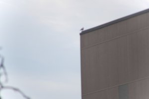 DSCF9064.JPG