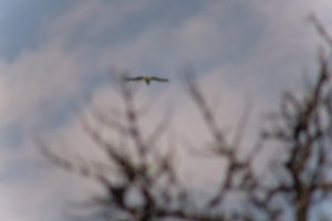 DSCF9067.JPG