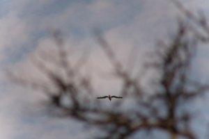 DSCF9072.JPG