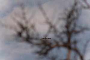 DSCF9073.JPG