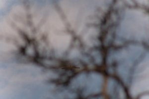 DSCF9074.JPG