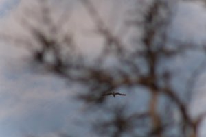 DSCF9075.JPG