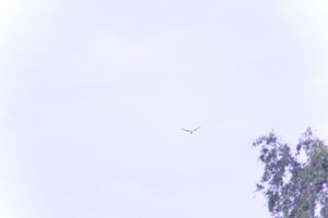 DSCF9076.JPG