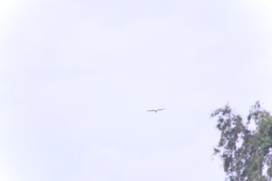 DSCF9077.JPG