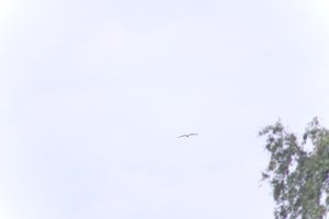 DSCF9078.JPG