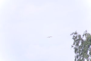 DSCF9079.JPG