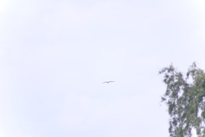 DSCF9080.JPG