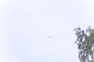 DSCF9081.JPG