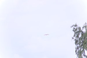 DSCF9082.JPG