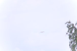 DSCF9083.JPG