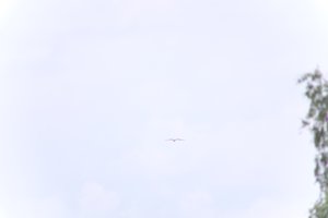 DSCF9087.JPG