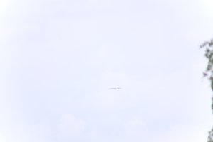 DSCF9088.JPG