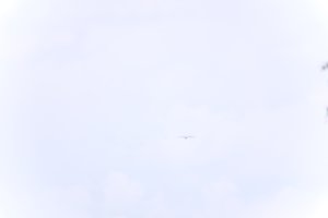 DSCF9089.JPG
