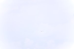 DSCF9090.JPG