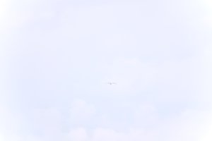 DSCF9092.JPG