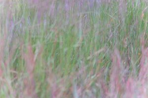 DSCF9105.JPG