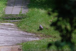 DSCF9122.JPG