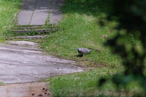 DSCF9143.JPG
