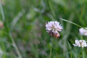 DSCF9148.JPG