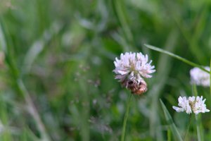 DSCF9149.JPG