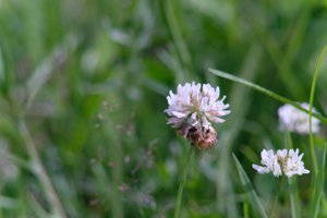 DSCF9150.JPG