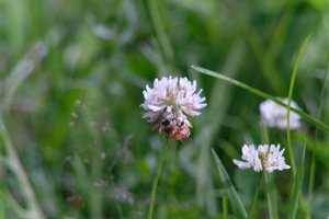 DSCF9151.JPG