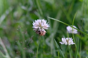DSCF9152.JPG