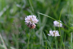 DSCF9153.JPG