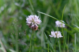 DSCF9154.JPG