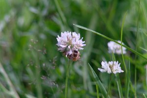 DSCF9155.JPG