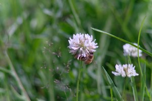 DSCF9156.JPG
