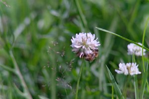 DSCF9157.JPG
