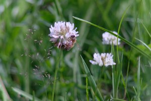 DSCF9159.JPG